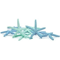 Starfish Decor 10 Pack Green & Blue Dyed White Finger Starfish Starfish 4" to 6" Green and Blue Starfish for Crafts Starfish Wall Décor