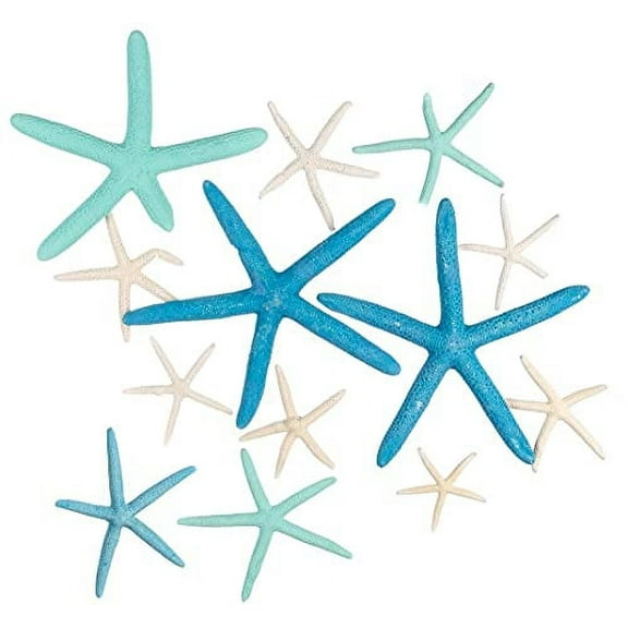 Starfish Decor 12 Pack Uniquely Shaped Green & Blue Dyed White Finger Starfish 2" to 5" Imperfect Green and Blue Starfish for Crafts Starfish Wall Décor