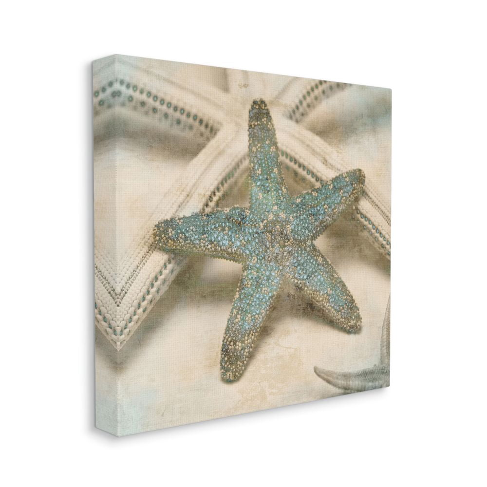 Starfish Distressed Texture Blue Tan 36 in x 36 in Painting Canvas Art Print, by Stupell Home Décor