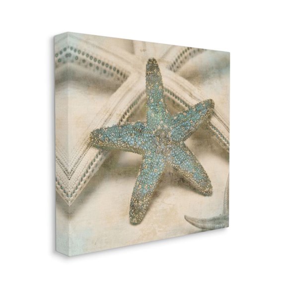 Starfish Distressed Texture Blue Tan Design Coastal Gallery-Wrapped Canvas Print Wall Art, 17x17