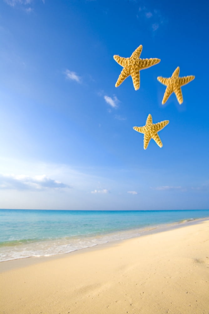 Starfish Falling In Front Of The Ocean Canvas Art - Richard Wear Design Pics (11 x 17)