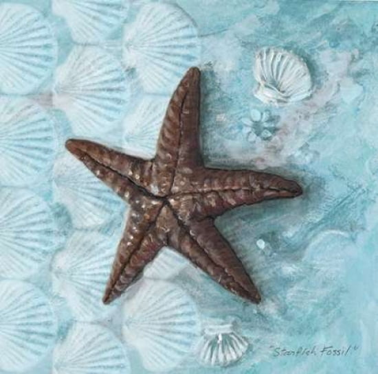 Starfish Fossil Canvas Art - Arnie Fisk (24 x 24)