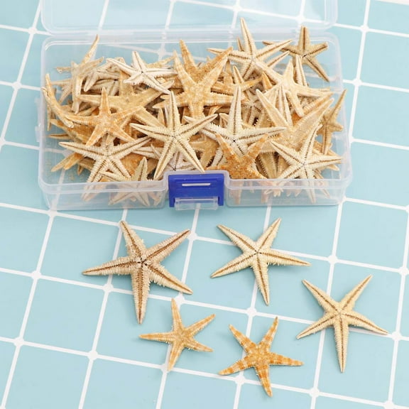 Starfish - Natural Mixed Reusable Realistic White Star Sea Shell for Wedding Decor, Home Decor and Craft Project