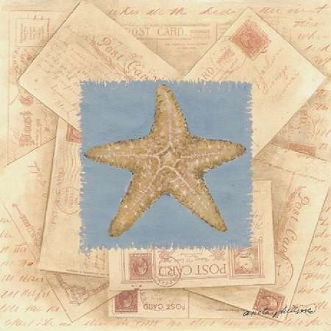 Starfish Postcard Canvas Art - Anita Phillips (24 x 24)