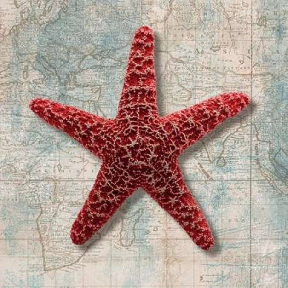 Starfish Poster Print by Ted Broome
