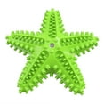 thumbnail image 1 of Starfish- Sound Teething Dog Toy, 1 of 4