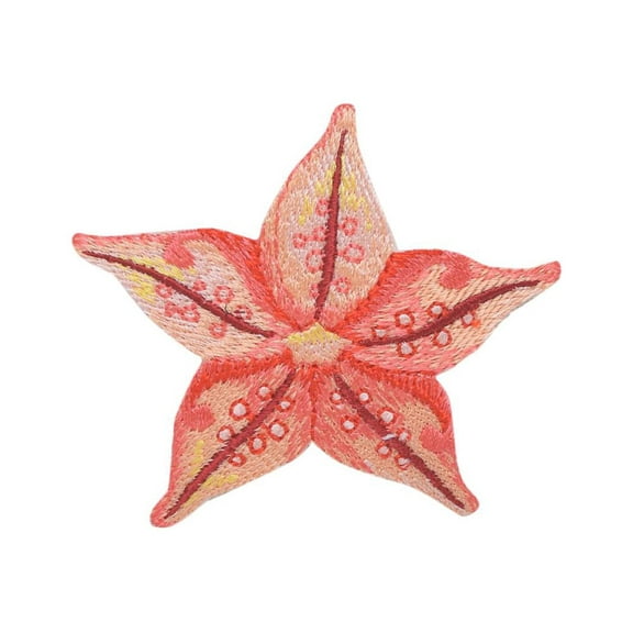Starfish - Tropical Sea Star - Coral - Ocean - Iron on Applique - Embroidered Patch