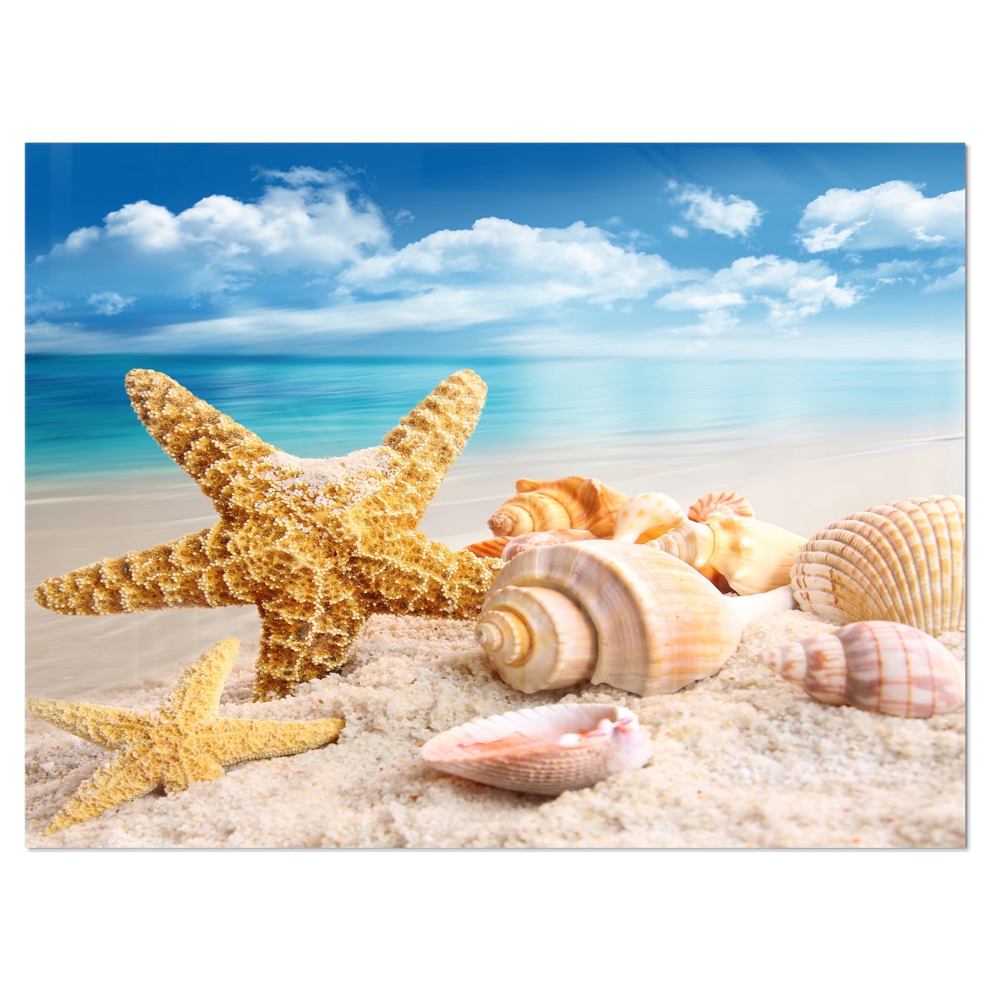 Starfish and Seashells on Beach 40.00" x 30.00" Photography Art Prints, by Designart