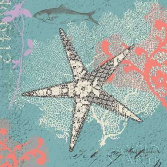 Starfish on Aqua Canvas Art - Wendy MacFarlane (24 x 24)