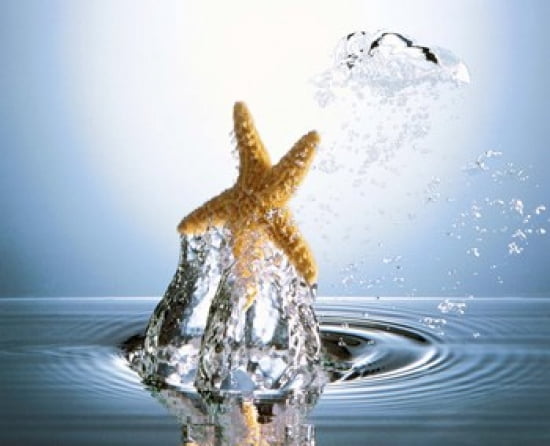 Starfish rising on water bubble toward bright light Canvas Art - Panoramic Images (24 x 20)