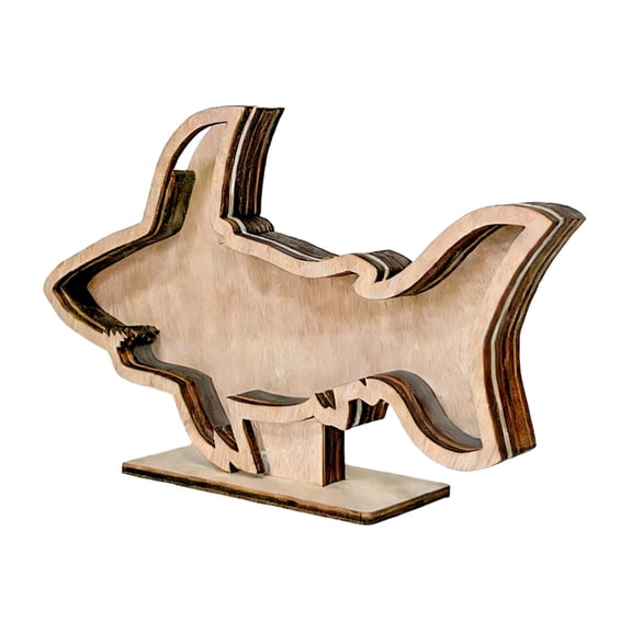 Starfishs Shape Seashells Display Box with Clear Acrylic Front Seashells Holders for Collections Small Shadows Box