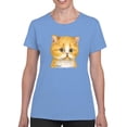thumbnail image 1 of Staring Kitten T-Shirt Women -Kayomi Harai Designs, Female Medium, 1 of 4