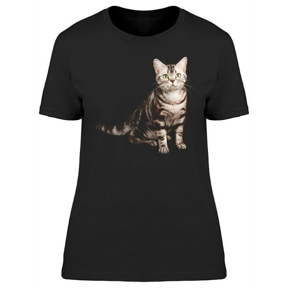 Staring Shorthair Kitten T-Shirt Women -Image by Shutterstock, Female x-Large