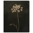 thumbnail image 1 of Starlit Bloomfall Canvas Gothic Botanicals by Art Remedy, Gallery Wrapped, 16" x 20", 1 of 7