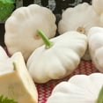 thumbnail image 1 of Starlite F1 Hybrid Squash 4 Oz Packet ~1,000 Seeds – Non-GMO Summer Squash, 43 Days to Maturity, Pale Yellow to White Fruits – Cucurbita pepo, 1 of 5