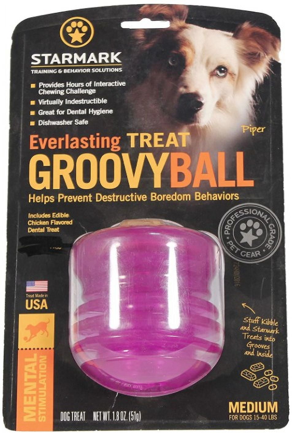 Starmark Everlasting Fun Ball - Large