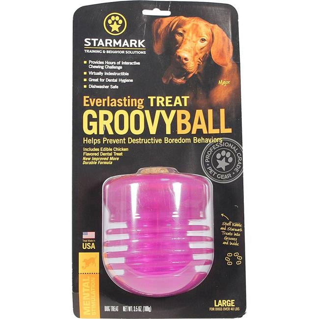 Starmark Pet Products 114129 Everlasting Treat Groovy Ball Dog Toy - Green,  Large