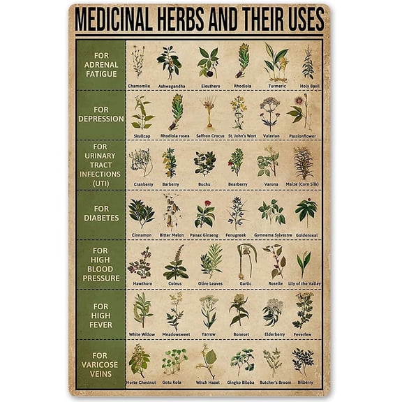 Starotore Medicinal Herbs and Their Uses Posters Signs Vintage Posters Wall Decor Retro Plaque For Clinic Hospital Pharmacy Room Decor