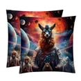 thumbnail image 1 of Starry Animals Chair Pillow Covers Set with Velvet Material, Unique Patterns, 16x16, 18x18, 20x20 Inches, 2 Items Included for Throw Pillows, Pillow Inserts, 1 of 6