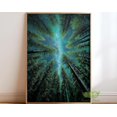 thumbnail image 1 of Starry Forest Canopy Milky Way Trees Wall Art Print, Unframed Paper Poster 16x20in, 1 of 4