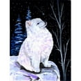 thumbnail image 1 of Starry Night American Eskimo Canvas Flag - House Size, 28 x 40 in., 1 of 1