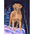 thumbnail image 1 of Starry Night Chesapeake Bay Retriever Flag - Garden Size, 1 of 1