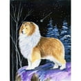 thumbnail image 1 of Starry Night Sheltie Flag - Garden Size, 11 x 15 in., 1 of 1