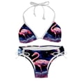 thumbnail image 1 of Starry Sky Flamingo Detachable Sponge Adjustable Strap Bikini Set Two-Pack - Swim Suit Swimsuits One-Piece Swimsuits, 1 of 6