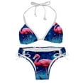 thumbnail image 1 of Starry Sky Flamingo Detachable Sponge Adjustable Strap Bikini Set Two-Pack Swimsuits for All Occasions, 1 of 6