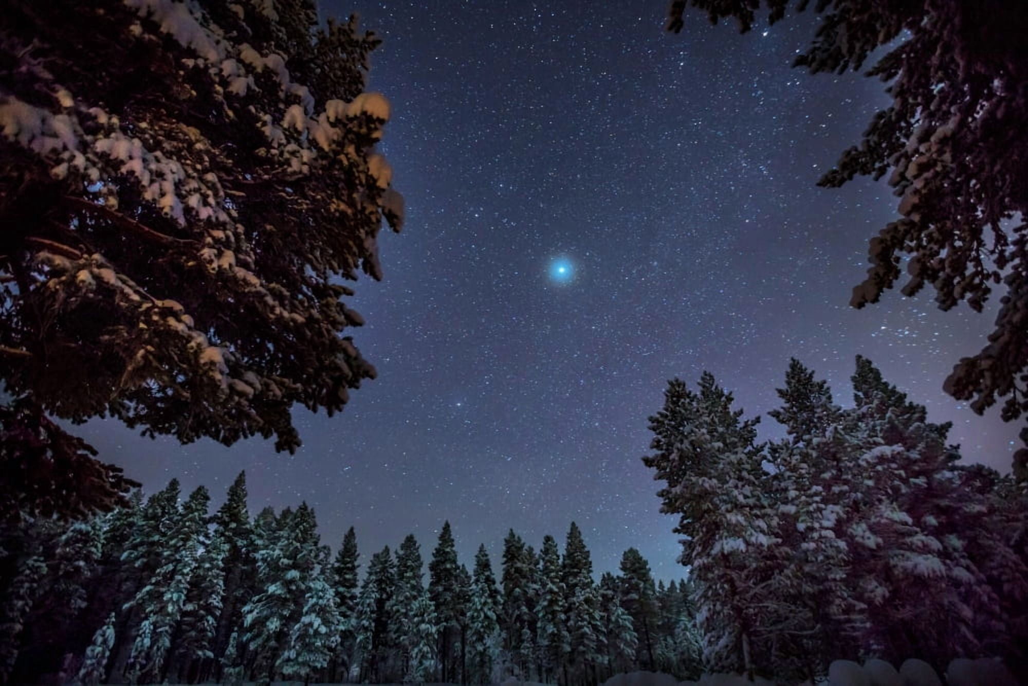 Starry cold night and trees Lapland Sweden Canvas Art - Panoramic Images (27 x 9)