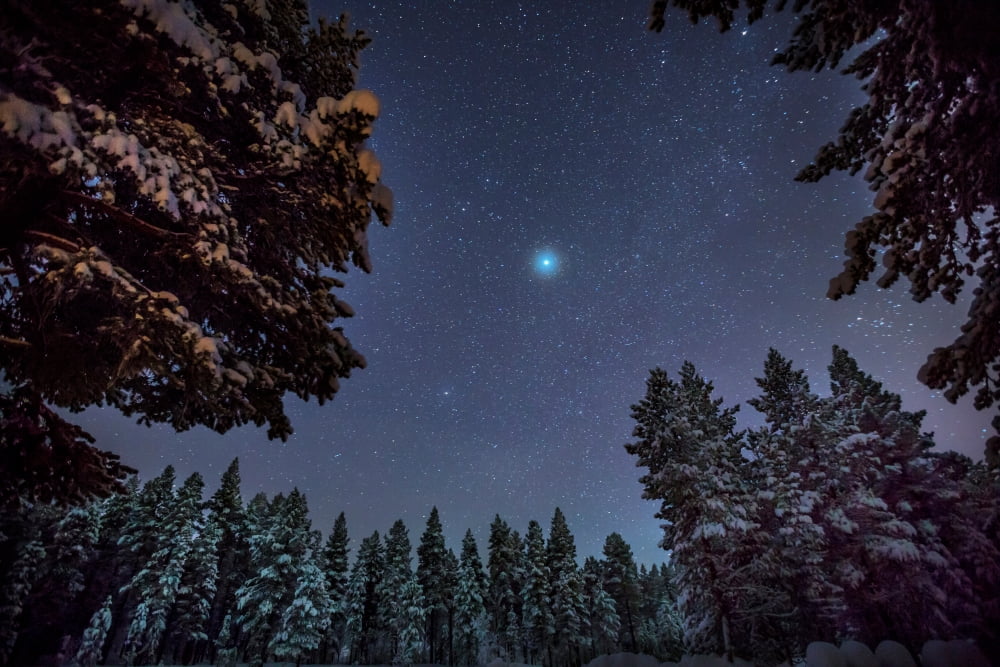 Starry cold night and trees Lapland Sweden Canvas Art - Panoramic Images (36 x 12)