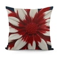 thumbnail image 1 of Stars Red White Flower Throw Pillow Covers, Patriotic Independence Cushion Case for Sofa Couch, 1 of 5