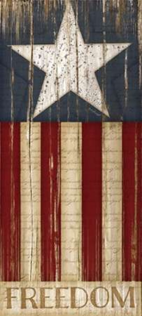 Stars and Stripes Canvas Art - Jennifer Pugh (10 x 20)