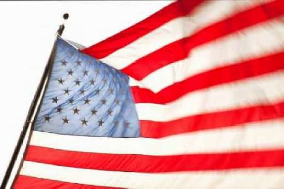 Stars and Stripes II Canvas Art - Karyn Millet (24 x 36)
