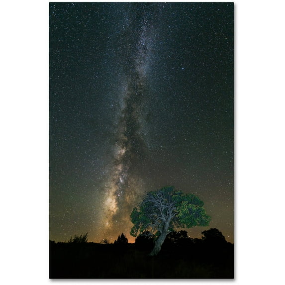 "Stars over Pinon" Canvas Art by Michael Blanchette Photography