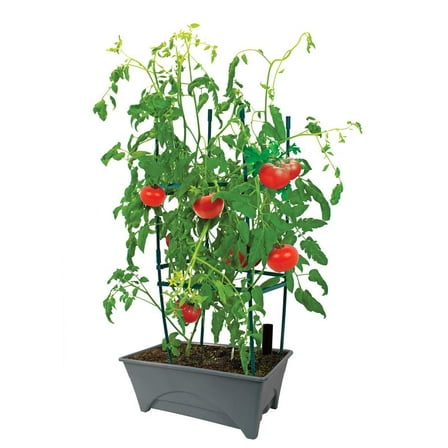 Start Pickin' Raised Bed Grow Box – Self Watering and Improved Aeration – Starter Box or Small Herb Garden Growing - 10" Bed - 12x20 Growing Area - Slate