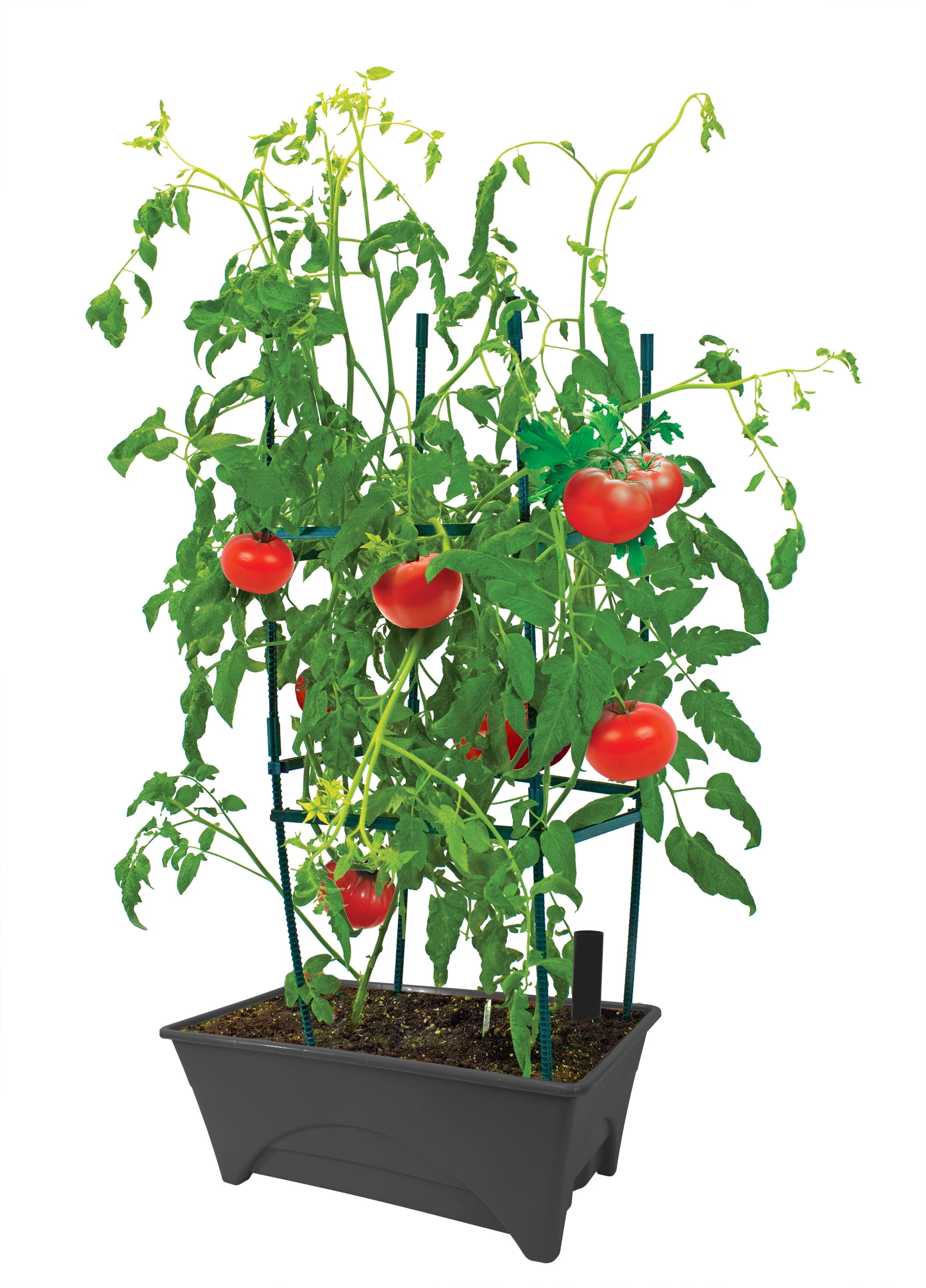 Charcoal Gray Resin Raised Bed Grow Box with Aeration Screen