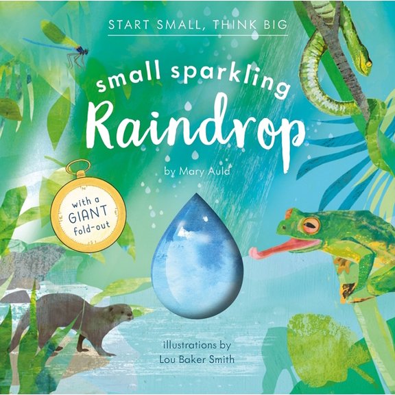 Start Small, Think Big Small Sparkling Raindrop (Start Small, Think Big #5), (Hardcover)