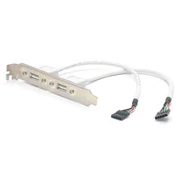 Startech  2-Outlet USB Plate For PC Motherboards
