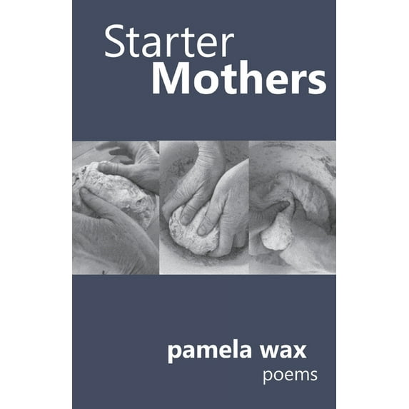 Starter Mothers (Paperback)
