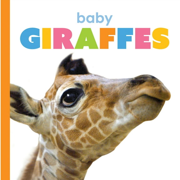 Starting Out: Baby Giraffes (Paperback)