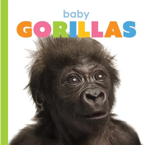 Pre-Owned Starting Out: Baby Gorillas (Paperback)