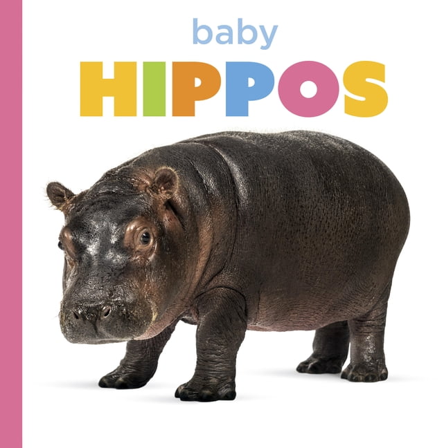 Starting Out Baby Hippos, (Paperback)
