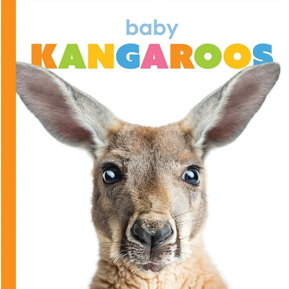 Starting Out: Baby Kangaroos (Paperback)