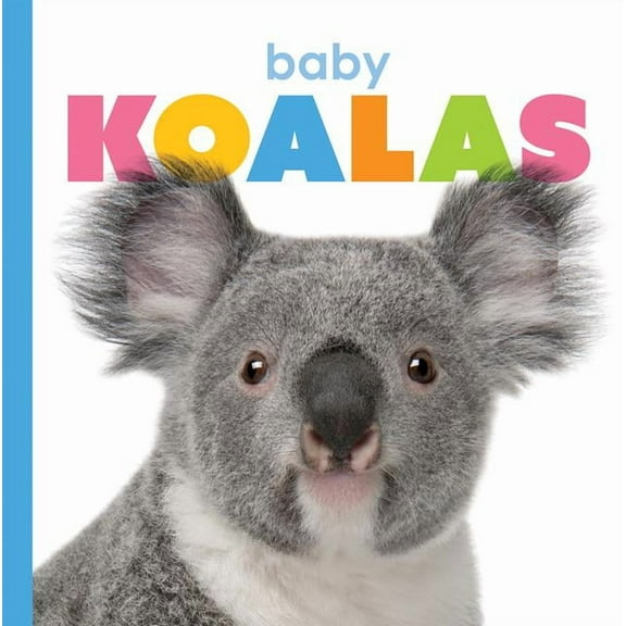 Starting Out: Baby Koalas (Paperback)