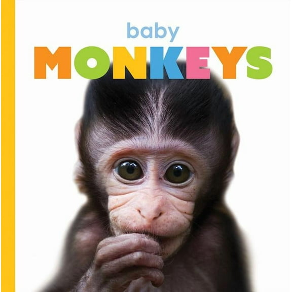 Starting Out: Baby Monkeys (Paperback)
