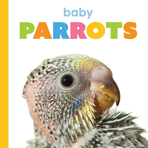 Starting Out Baby Parrots, (Paperback)