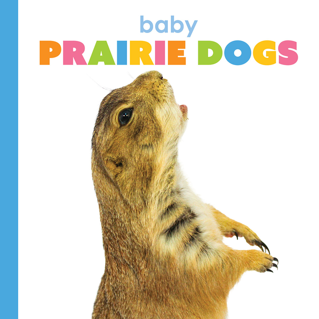Starting Out Baby Prairie Dogs, (Hardcover)