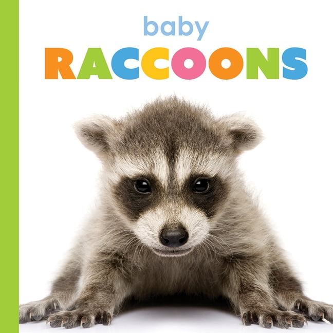 Starting Out Baby Raccoons, (Hardcover)
