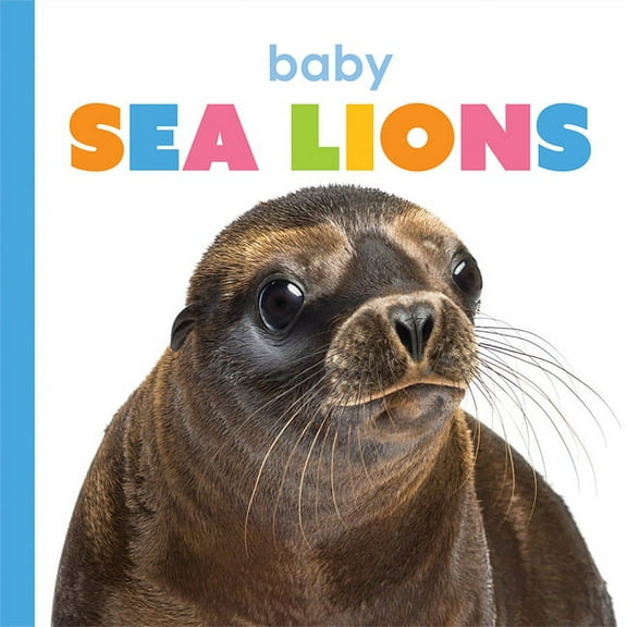 Starting Out: Baby Sea Lions (Paperback)